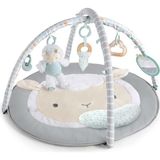 Ingenuity , Cozy Spot Loamy Oyun Matı, Ahşap Oyun Kemeri, Çıkarılabilir Oyuncaklı - Gri - 80 x 60 cm