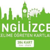İngilizce Kelime Öğreten Kartlar - Yeşil Kutu - 384 Kart