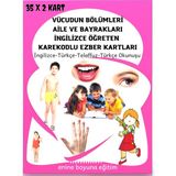 İngilizce Vücudun Bölümleri Ezber Kartları - Enine Boyuna Eğitim