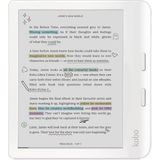 Ink Kaleido™ 3 Ekranlı E-Kitap Okuyucu, 7 Inç, Renkli, Parlama Yok, Bildirim Yok