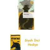 İnkılap Kitabevi Yitik Yollar - Livaneli Kitaplığı + Siyah Inci - Hayır