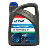 Inorganik 3 Lt G-11 Antifriz Mavi -40°c