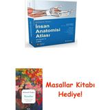 Insan Anatomisi Atlası: Kas Tablosu Ile + Masallar Kitabı - Hayır