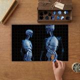 Insan Iskeleti - Anatomi Tasarımı 240 Parça Ahşap Puzzle Ahşap Kutuda MP10015