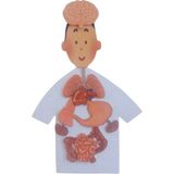 Insan Vücudu Oyuncak - Okul Öncesi Eğitici Puzzle Iç Organlarımız Seti - Pembe