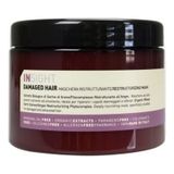 Insight Damaged Hair Restructurizing 500 ml Onarıcı Saç Maskesi
