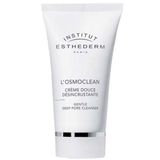 Institut Esthederm Gentle Deep Pore Cleanser 75 ml Cilt Temizleyici