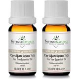 Intense Natural Çay Ağacı Uçucu Yağı 20 ml Saf ve Doğal Antiseptik Özellikli