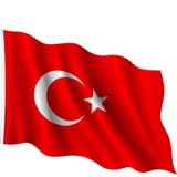 Inter Bayrak 300x450 Türk Bayrağı
