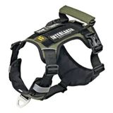 Interlaken Köpek Harness Koşum Takımı Hafif Küçük ve Büyük Köpekler Uzanma Önleyici Göğüs Tasması 2.0 - Siyah - Yeşil