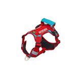 INTERLAKEN Köpek HARNESS Kosum Takimi Hafif Küçük ve Büyük Köpekler Uzanma Önleyici Gögüs Tasmasi KIRMIZI&TURKUAZ M BEDE
