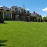 İNTFA Bermuda Grass Çim Tohumu - 100 kg