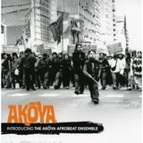 Introducing the Akoya Afrobeat