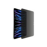 IPAD için IPG Privacy Gizlilik (Anti-Spy) Ekran Koruyucu, Mat, Parmak İzi Bırakmaz, Yandan Görünmeyi Engeller (iPad Pro (M4) 11")