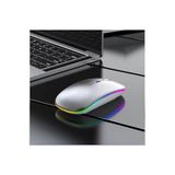 iPad Pro M4 13" 2024 Tablet İçin RGB LED Işıklı Bluetooth+2.4Ghz Kablosuz Sessiz Şarjlı Mouse Gri
