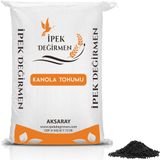 İpek Değirmen Kanola Tohumu, 1 Kg, Besleyici Saf