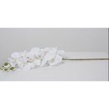 Ipek Hobi 55 cm Yapay Orkide 9 Çiçekli