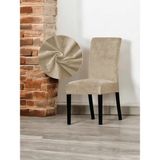 Ipek Kadife Sandalye Kılıfı- Sandalye Örtüsü - 40 x 55 cm - Vizon