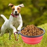 İpek Yıldızı® Katlanabilir Kedi Köpek Mama ve Su Kabı Köpek Oyuncağı