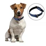 İpek Yıldızı® Yumuşak Dokulu Deri Köpek Gezdirme Boyun Tasması (Large)