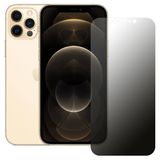 İphone 12 Pro Max Hayalet Privacy Flexiglass Mat Nano Ekran Koruyucu