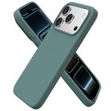 iPhone 17 Promax Uyumlu Silikon Telefon Kılıf Arka Kapak Koruma Leke Tutmaz Kolay Temizlenen Kutulu Hediye İnce Hafif Dayanıklı Kaymaz Modern Tasarım Orijinal Lansman Kalitesinde (Kaktüs Yeşil)