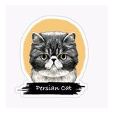 Iran Kedisi Araba Oto Sticker Etiket Renkli V8