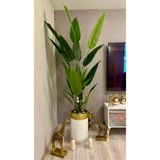 İremÇiçekçilik Yapay Ağaç Yapay Çiçek Uygula Salon Çiçeği 210 Cm Starlice 24 Yaprak
