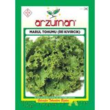 Irı Kıvırcık Marul Tohumu 10 Gr