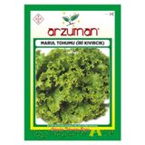 Iri Kıvırcık Marul Tohumu 10 Gram
