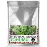 İri Yapraklı Ispanak Tohumu Yüksek Verim 30 Adet