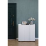 Irmak Dünyası Çok Amaçlı Dolap Ayakkaılık Dolabı,3 Kapaklı Kiler Dolabı, Erzak Dolabı, Dolap, Cok Amacli 30x90 cm