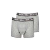 IRVINE 2&prime;li Gri Erkek Boxer