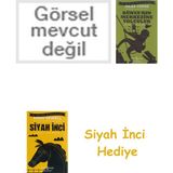 İş Bankası Kültür Yayınları Bay Komik ve Sihirli Lamba + Dünyanın Merkezine Yolculuk + Siyah Inci Hediye