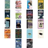 İş Bankası Kültür Yayınları Beyaz Diş: Modern Klasikler Dizisi - 10 + 17 Kitap Daha (Set) - Hayır