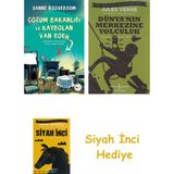 İş Bankası Kültür Yayınları Çözüm Bakanlığı ve Kaybolan Van Gogh + Dünyanın Merkezine Yolculuk + Siyah Inci Hediye