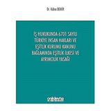 İş Hukukunda 6701 Sayılı Türkiye İnsan Hakları ve Eşitlik Kurumu Kanunu Bağlamında Eşitlik İlkesi ve Ayrımcılık Yasağı