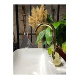İSAOĞLU YAPI Gold Lavabo Bataryası Altın Lavabo Musluğu Yüksek Model Fonksiyonel Parlak Gold Musluk