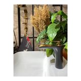 İsaoğlu Yapı Siyah Lavabo Bataryası Şelale Musluk Altın Siyah Lavabo Bataryası Şelale Akışlı
