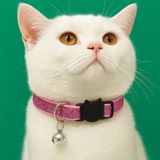 Işıltılı Kedi Boyun Tasması– Ayarlanabilir, Çıngıraklı, Güvenlik Kilitli, Pembe Renk