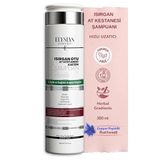 Isırgan Otu & At Kestanesi & Kafein Şampuanı | Copper Peptidli Hızlı Saç Uzatma Uzatan Etkili 300 ml