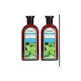 Isırgan Otu Bakım Yağlı Saçlar İçin 300 ml X 2 Adet Şampuan