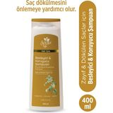 Isırgan Otu ve Ginseng Özlü Besleyici & Koruyucu Şampuan - Zayıf ve Dökülen Saçlar Için Şampuan 400 ml