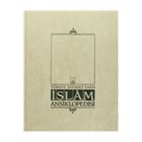 Islam Ansiklopedisi Cilt: 11 KRT.KIDA.9789753894388