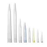 İsolab 005.01.001 Pipet Ucu - Şeffaf - 10 Ul (1000 Adet)