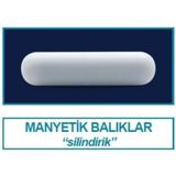 İsolab 057.01.025 Manyetik Balık - 25 X 6 Mm (10 Adet)