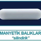 İsolab 057.01.030 Manyetik Balık - 30 X 6 Mm (10 Adet)