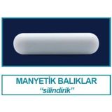 İsolab 057.01.050 Manyetik Balık - 50 X 8 Mm (6 Adet)