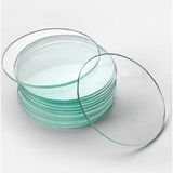Isotherm Saat Camı - 100 mm