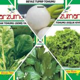 Ispanak -Beyaz Turp-Kıslık Kıvırcık Marul-Maydanoz 4'Lu Tohum Setı